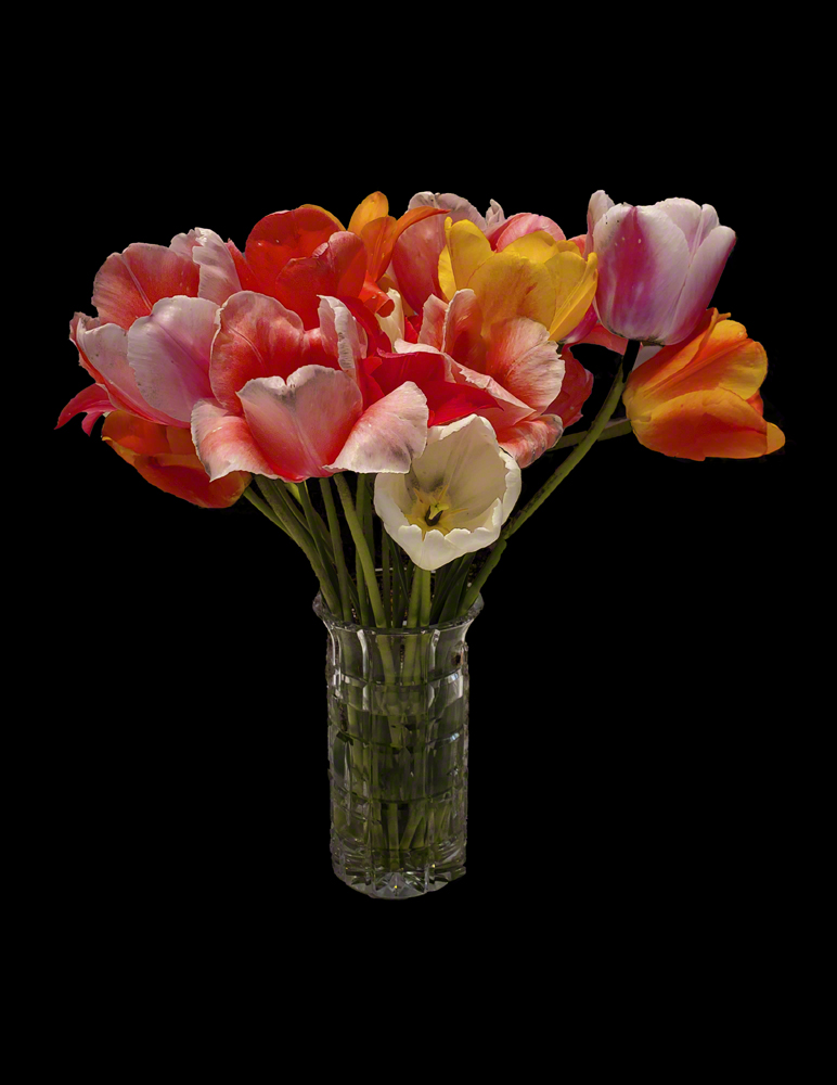 Colin flowers in vase