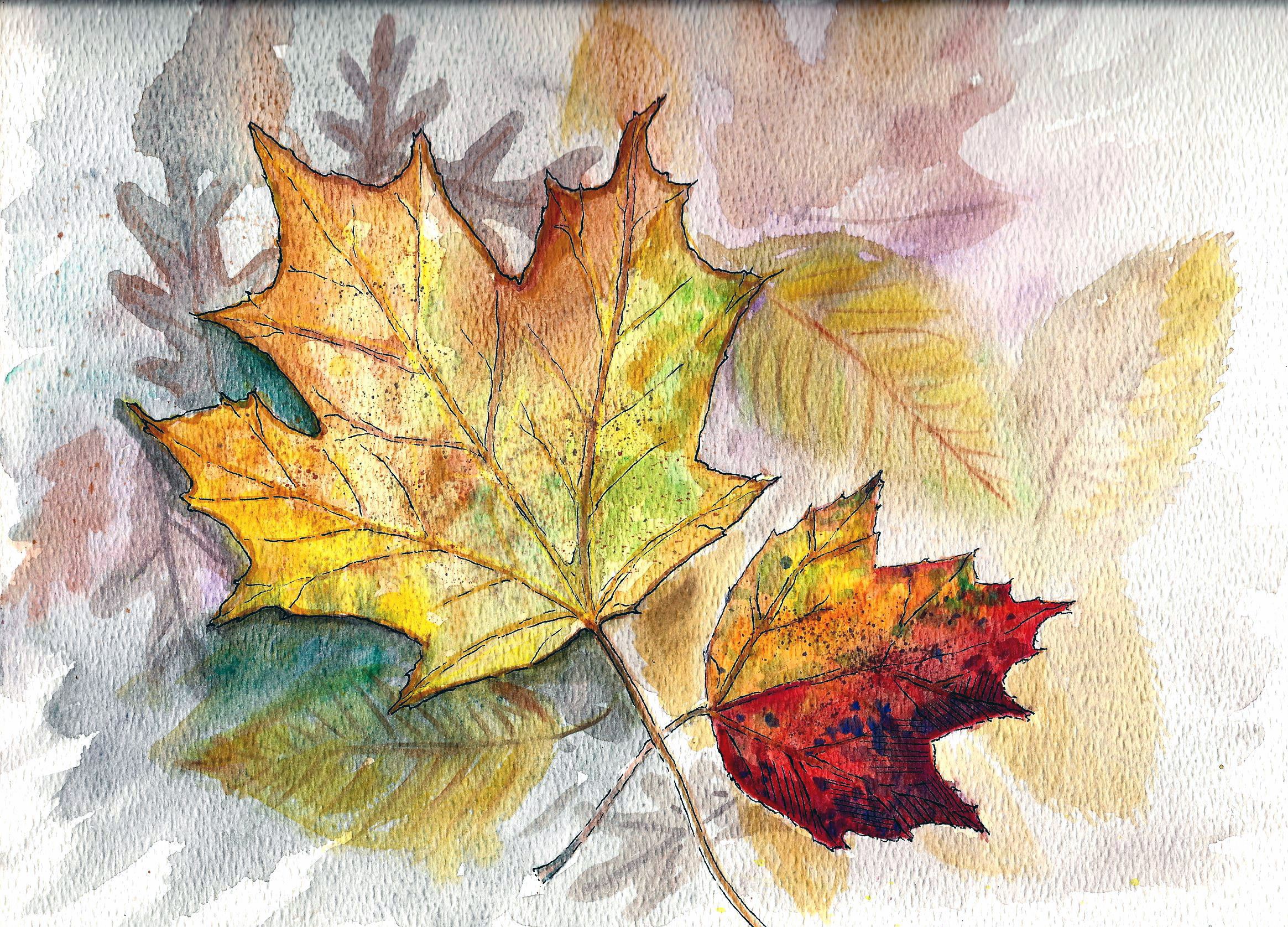 ShawnaLee Two Maple Leaves