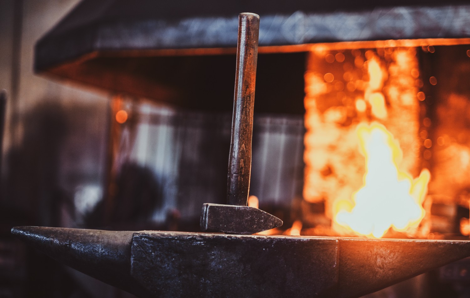 forge programs